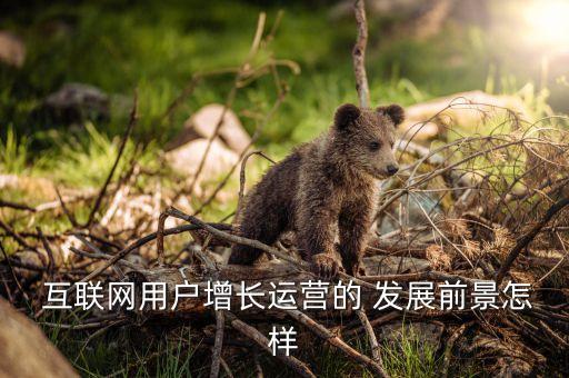  互聯(lián)網(wǎng)用戶增長(zhǎng)運(yùn)營的 發(fā)展前景怎樣