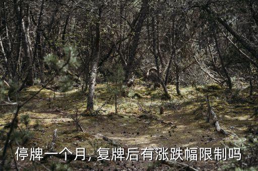 停牌一個月, 復牌后有漲跌幅限制嗎