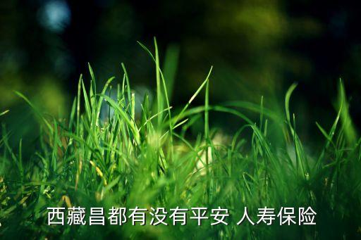  西藏昌都有沒(méi)有平安 人壽保險(xiǎn)