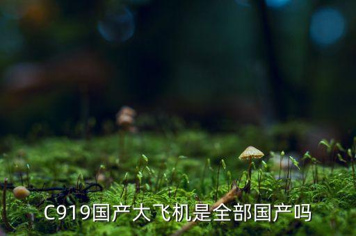 C919國產(chǎn)大飛機是全部國產(chǎn)嗎