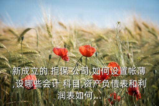 新成立的 擔(dān)保 公司,如何設(shè)置帳薄,設(shè)哪些會(huì)計(jì) 科目,資產(chǎn)負(fù)債表和利潤(rùn)表如何...