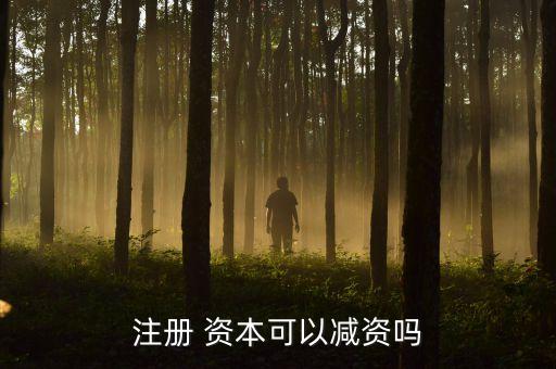 注冊(cè) 資本可以減資嗎