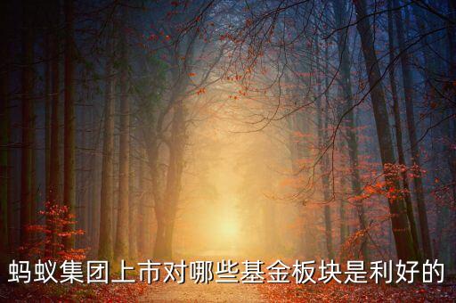 螞蟻集團上市對哪些基金板塊是利好的
