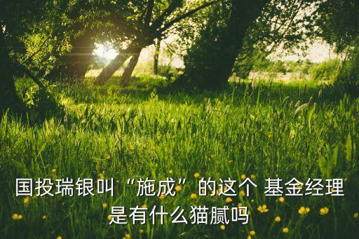 國(guó)投瑞銀叫“施成”的這個(gè) 基金經(jīng)理是有什么貓膩嗎