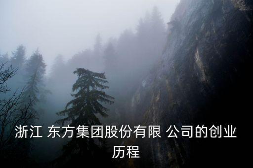 浙江 東方集團股份有限 公司的創(chuàng)業(yè)歷程