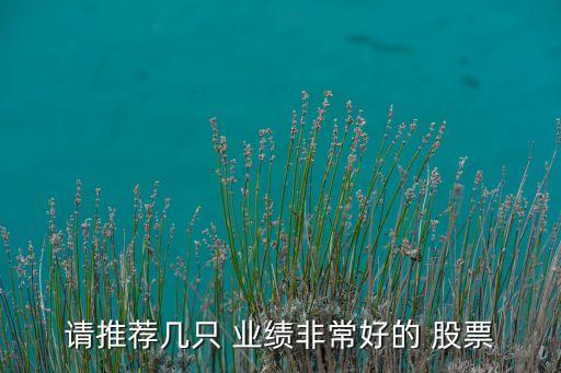 請(qǐng)推薦幾只 業(yè)績(jī)非常好的 股票