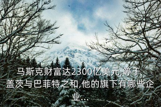 馬斯克財富達2300億美元,等于 蓋茨與巴菲特之和,他的旗下有哪些企業(yè)...