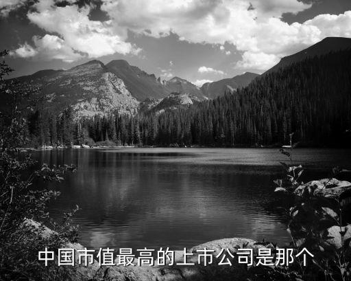 中國市值最高的上市公司是那個