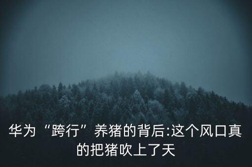 華為“跨行”養(yǎng)豬的背后:這個(gè)風(fēng)口真的把豬吹上了天