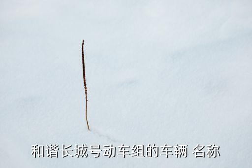 和諧長(zhǎng)城號(hào)動(dòng)車(chē)組的車(chē)輛 名稱(chēng)