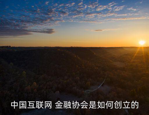 中國金融網(wǎng)絡領袖,網(wǎng)絡金融與中國機遇