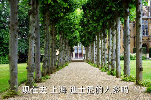 現在去 上海 迪士尼的人多嗎