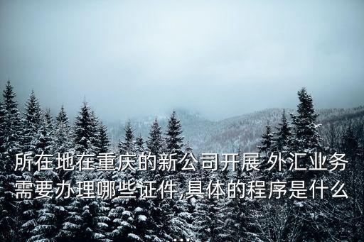 非銀行金融機構外匯資本賬戶