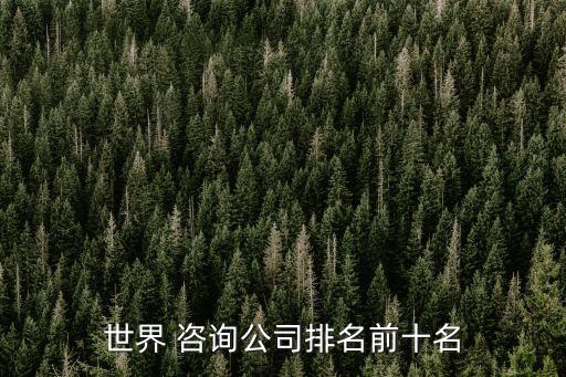 世界 咨詢(xún)公司排名前十名