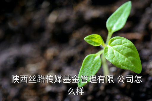  陜西絲路傳媒基金管理有限 公司怎么樣