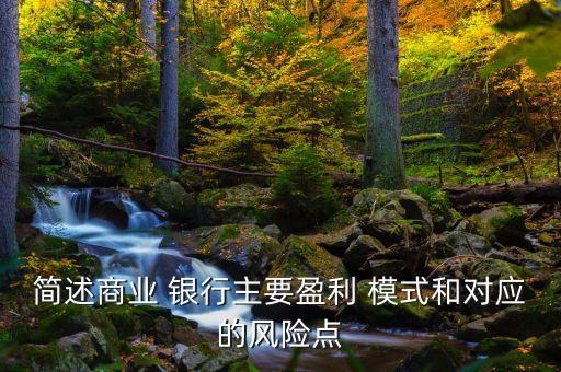簡述商業(yè) 銀行主要盈利 模式和對應(yīng)的風(fēng)險點(diǎn)
