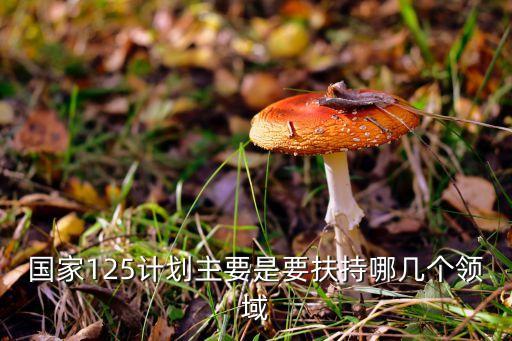 國家125計劃主要是要扶持哪幾個領域