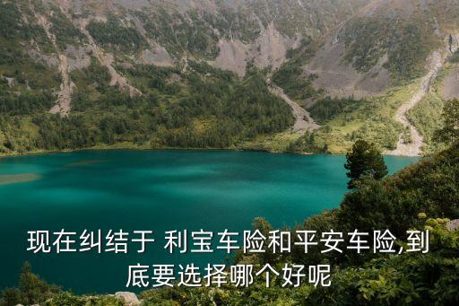 美國(guó)利寶互助保險(xiǎn)集團(tuán)