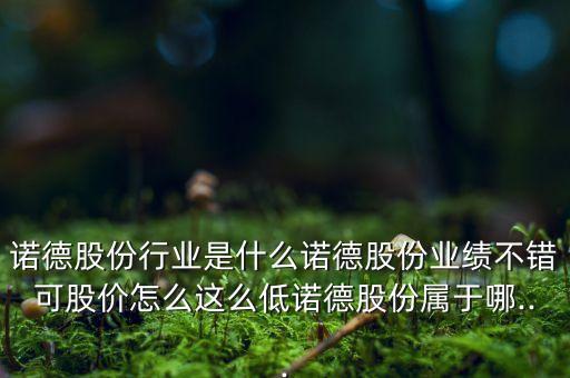 諾德股份行業(yè)是什么諾德股份業(yè)績不錯(cuò)可股價(jià)怎么這么低諾德股份屬于哪...