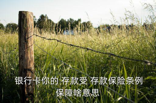 銀行怎么應(yīng)對(duì)存款保險(xiǎn)制度,銀行存款保險(xiǎn)制度50萬如何解讀