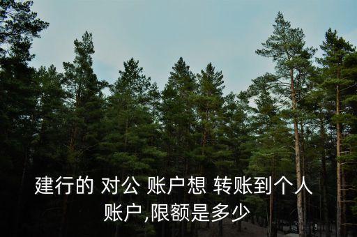 建設(shè)銀行對公賬戶網(wǎng)銀轉(zhuǎn)賬