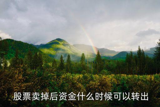  股票賣掉后資金什么時(shí)候可以轉(zhuǎn)出