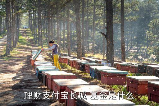 理財(cái)支付寶長城 基金是什么