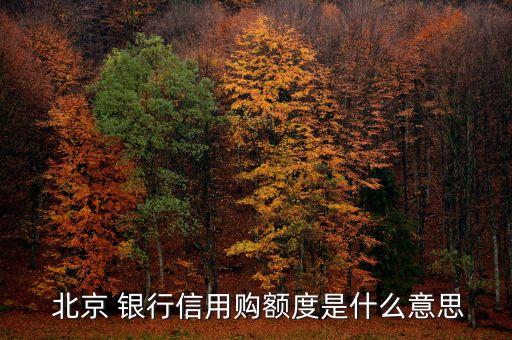  北京 銀行信用購(gòu)額度是什么意思