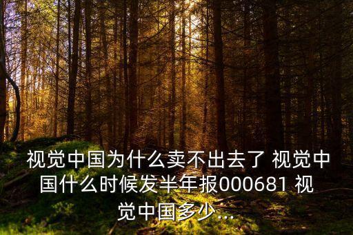  視覺中國(guó)為什么賣不出去了 視覺中國(guó)什么時(shí)候發(fā)半年報(bào)000681 視覺中國(guó)多少...