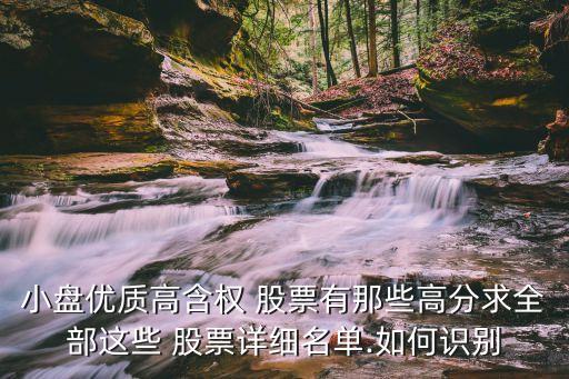 小盤優(yōu)質(zhì)高含權 股票有那些高分求全部這些 股票詳細名單.如何識別