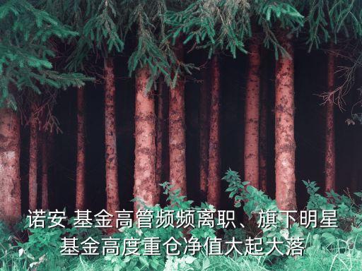  諾安 基金高管頻頻離職、旗下明星 基金高度重倉(cāng)凈值大起大落