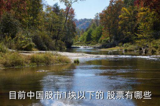 目前中國(guó)股市1塊以下的 股票有哪些