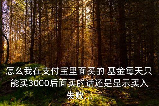 怎么我在支付寶里面買的 基金每天只能買3000后面買的話還是顯示買入失敗...