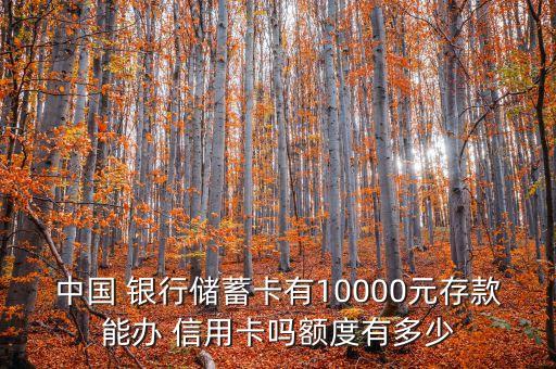 中國(guó) 銀行儲(chǔ)蓄卡有10000元存款能辦 信用卡嗎額度有多少