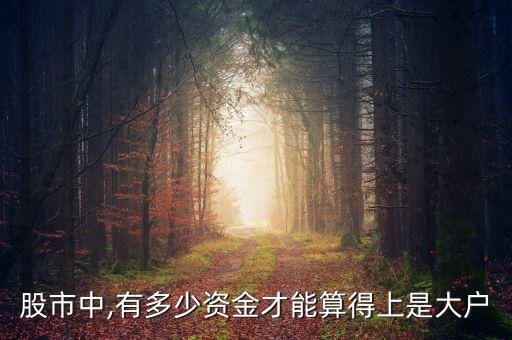 股市中,有多少資金才能算得上是大戶