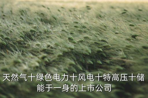 天然氣十綠色電力十風(fēng)電十特高壓十儲能于一身的上市公司