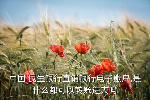 中國 民生銀行直銷銀行電子賬戶,是什么都可以轉賬進去嗎