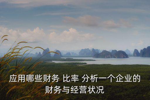 應(yīng)用哪些財務(wù) 比率 分析一個企業(yè)的財務(wù)與經(jīng)營狀況