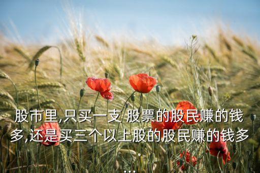 股市里,只買(mǎi)一支 股票的股民賺的錢(qián)多,還是買(mǎi)三個(gè)以上股的股民賺的錢(qián)多...