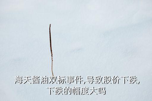 海天醬油雙標(biāo)事件,導(dǎo)致股價下跌,下跌的幅度大嗎