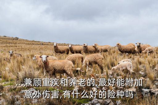 ...兼顧重疾和養(yǎng)老的,最好能附加意外傷害,有什么好的險種嗎