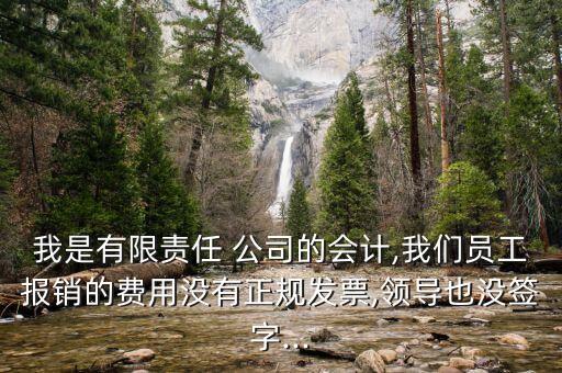 我是有限責(zé)任 公司的會計(jì),我們員工報(bào)銷的費(fèi)用沒有正規(guī)發(fā)票,領(lǐng)導(dǎo)也沒簽字...