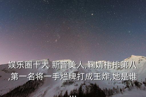 新晉美集團(tuán)借款