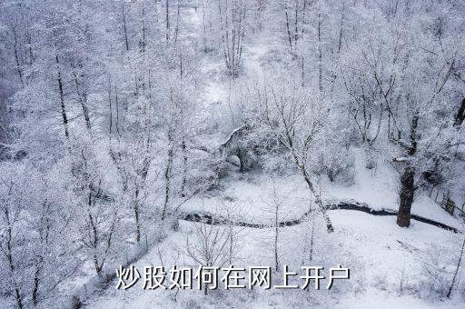 股票有效戶,股票可以開幾個戶