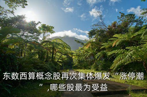 東數(shù)西算概念股再次集體爆發(fā)“漲停潮”,哪些股最為受益