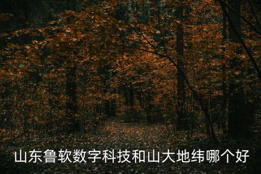  山東魯軟數(shù)字科技和山大地緯哪個好