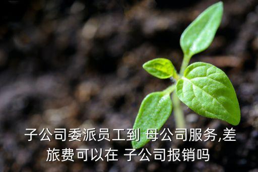  子公司委派員工到 母公司服務(wù),差旅費可以在 子公司報銷嗎
