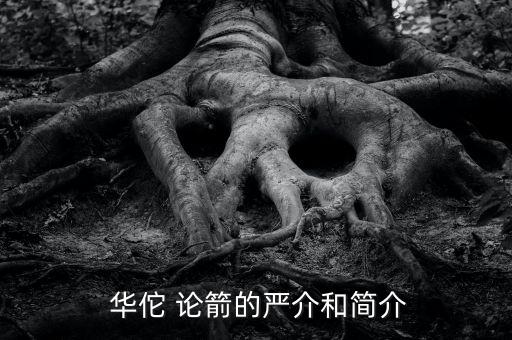 北京華佗論箭,華佗論箭個性獎學(xué)金