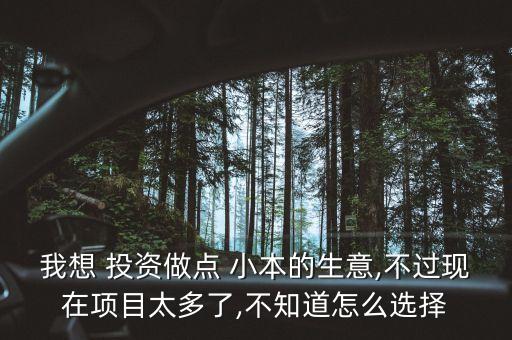 我想 投資做點 小本的生意,不過現在項目太多了,不知道怎么選擇