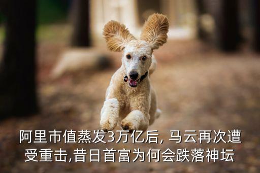 馬云坑害了中國(guó)房地產(chǎn)